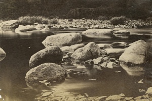 Вильям Каррик. Камни в воде. Россия, 1860—1870-е