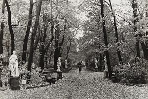 Осень в Летнем саду. Ленинград, 1975