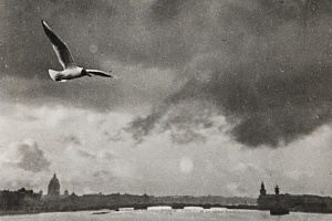 Над Невой. Ленинград, 1963